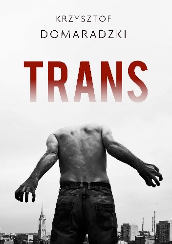 Krzysztof Domaradzki, "Trans".