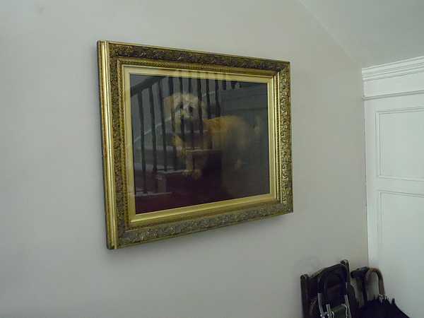 Portret psa Agathy Christie w Greenway House.