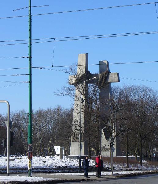 pl. Mickiewicza w Poznaniu/fot. Marta Matyszczak.