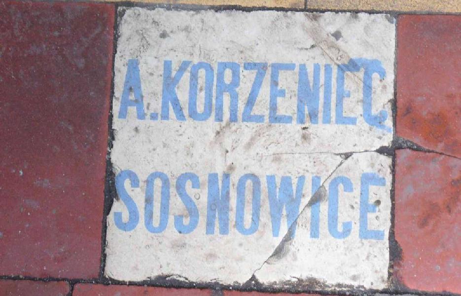 Kafelek Korzeńca przy ul. Żytniej 16 w Sosnowcu/fot. Marta Matyszczak.