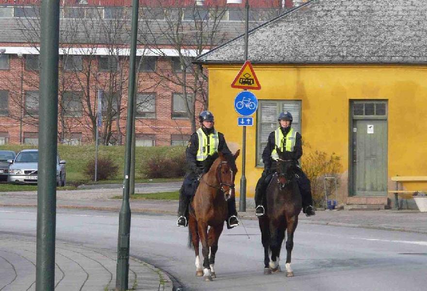 Policja konna w Malmo/fot.Marta Matyszczak.