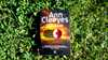 Miniokładka Dzikiego ognia Ann Cleeves.