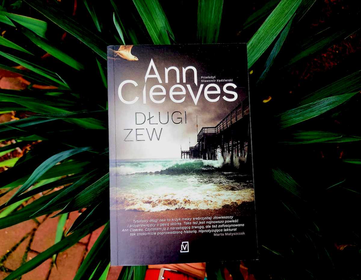 Okładka Długi zew Ann Cleeves.