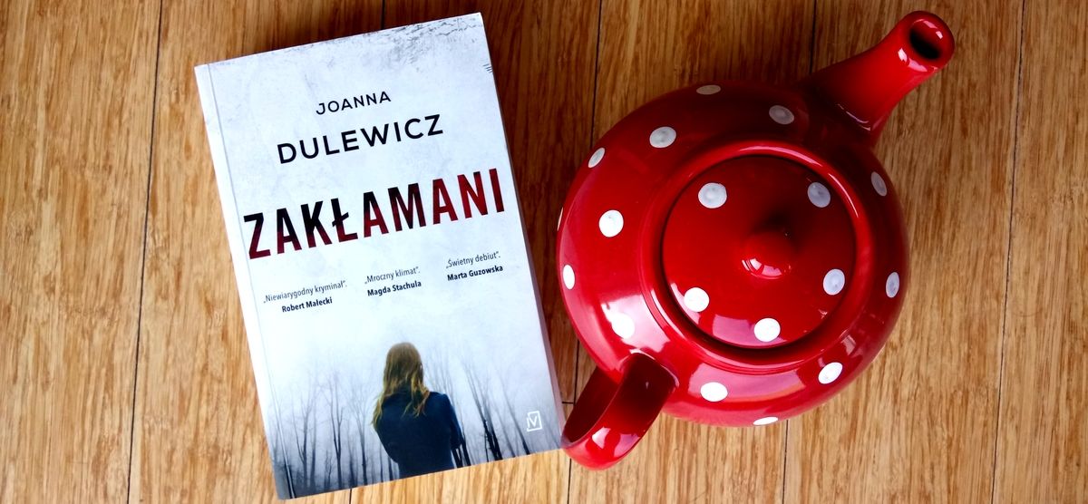 Zdjęcie okładki książki Zakłamani Joanny Dulewicz