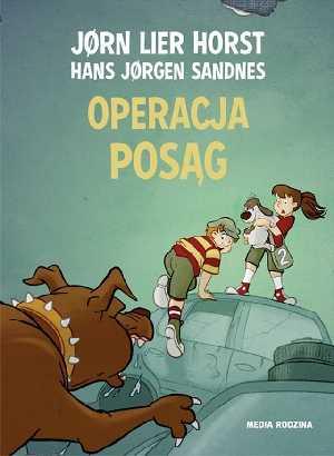 Jørn Lier Horst, "Operacja posąg"