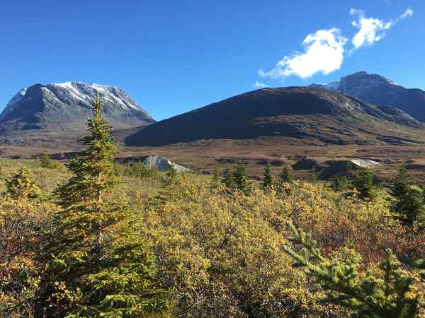 Grenlandia Madsa Pedera Nordbo, autora "Zimnego strachu".